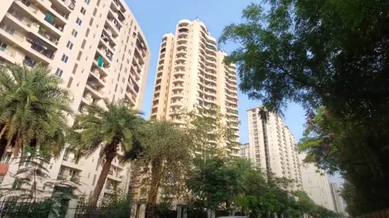 Gaur City 5th Avenue 2/3 BHK Apartments Noida Extension